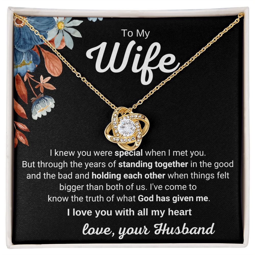 To My Wife - I Knew You Were Special When I Met You