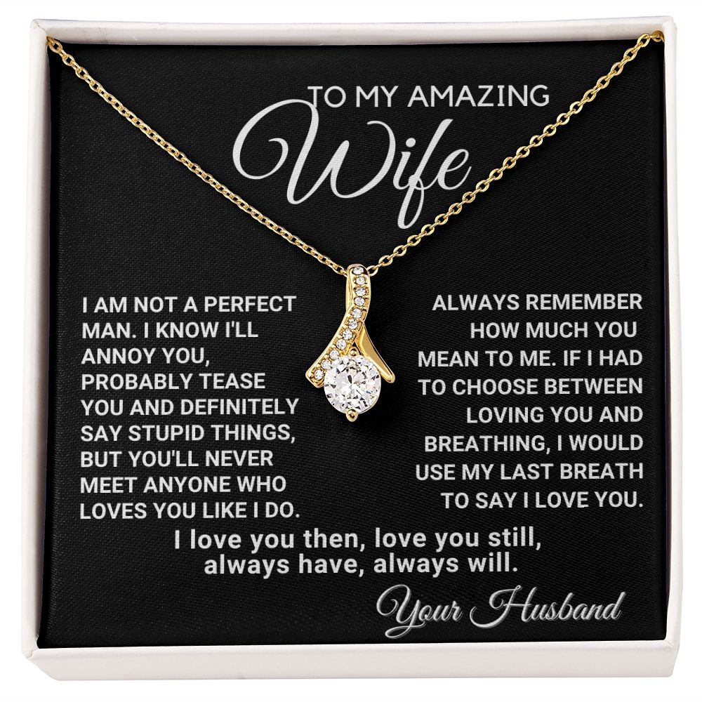 To My Wife - Always Remember How Much You Mean to Me