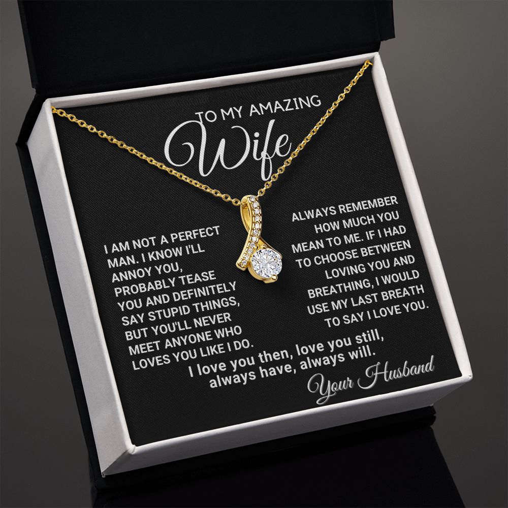 To My Wife - Always Remember How Much You Mean to Me
