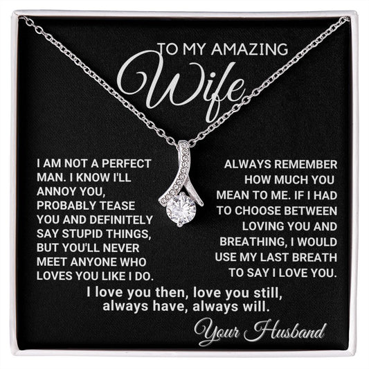 To My Wife - Always Remember How Much You Mean to Me