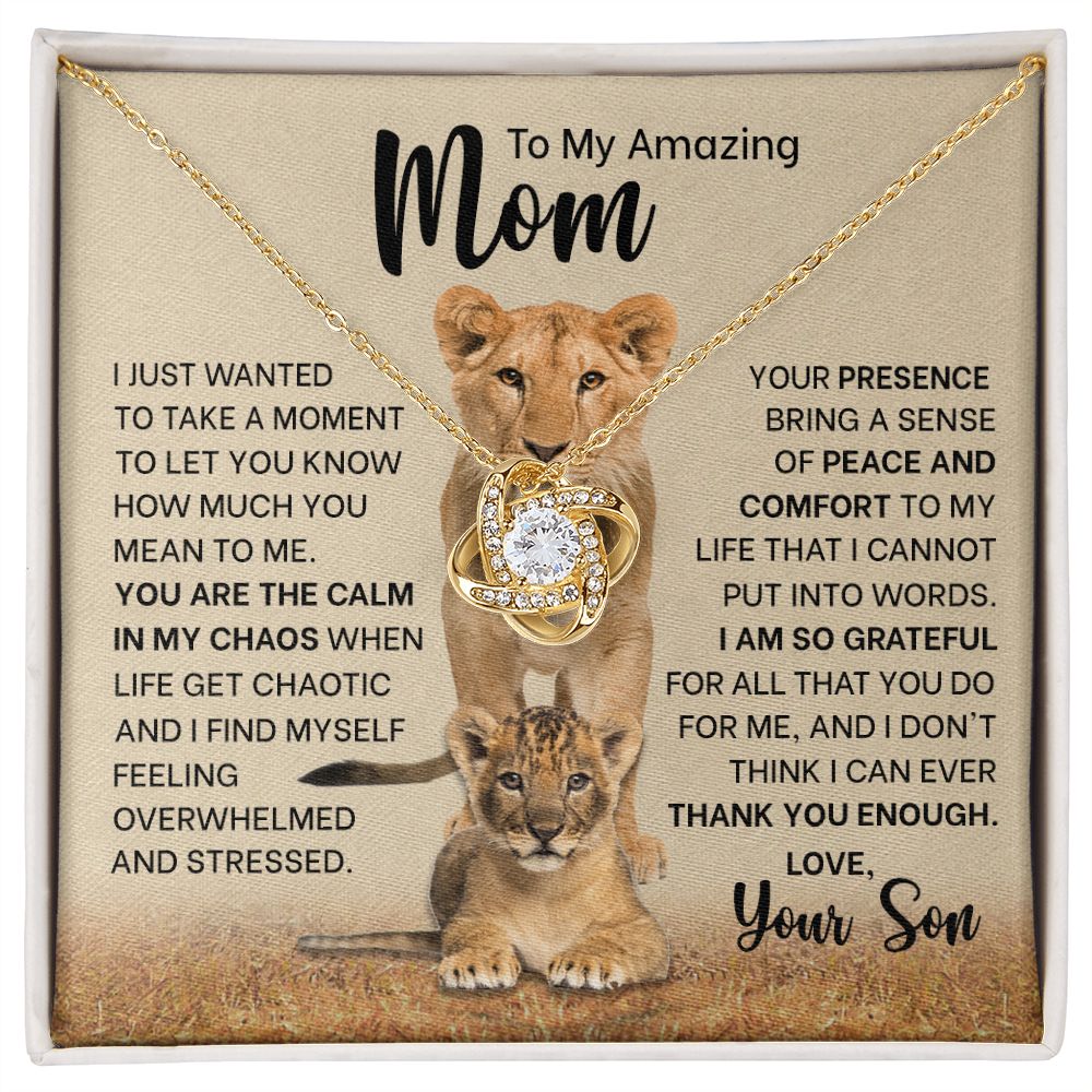 To My Mom_Calm in my Chaos