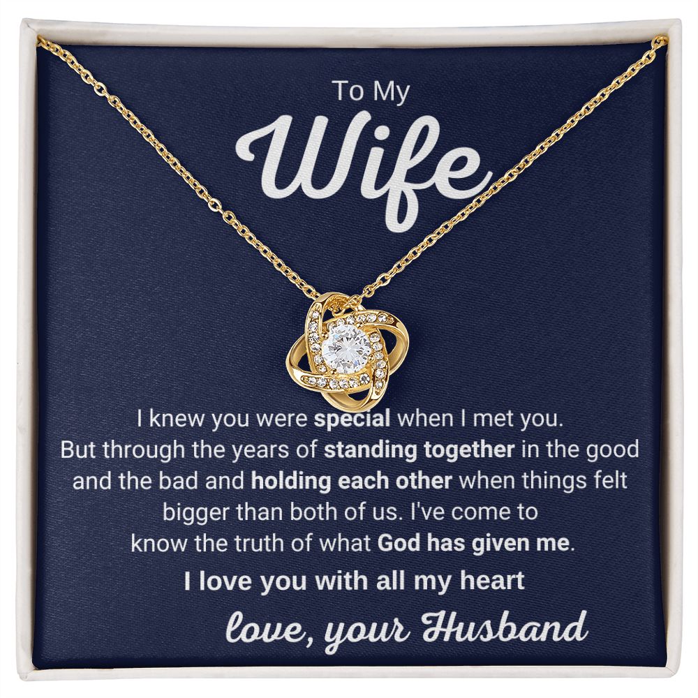 To My Wife - I Knew You Were Special When I Met You