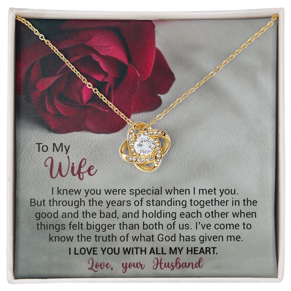To My Wife - I Knew You Were Special When I Met You