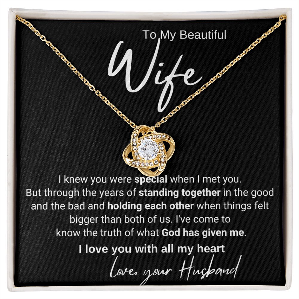 To My Wife - I Knew You Were Special When I Met You