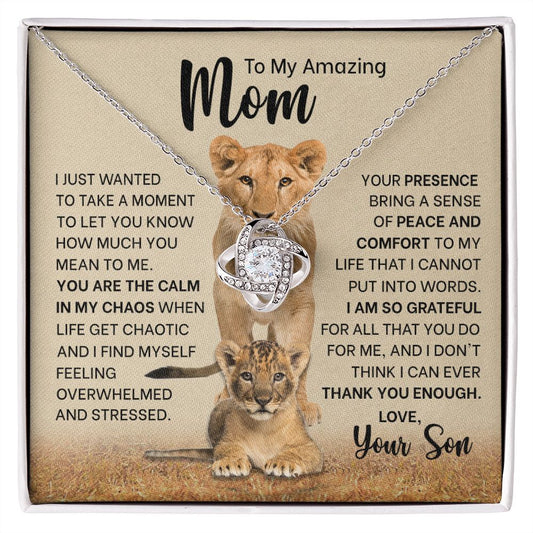 To My Mom_Calm in my Chaos