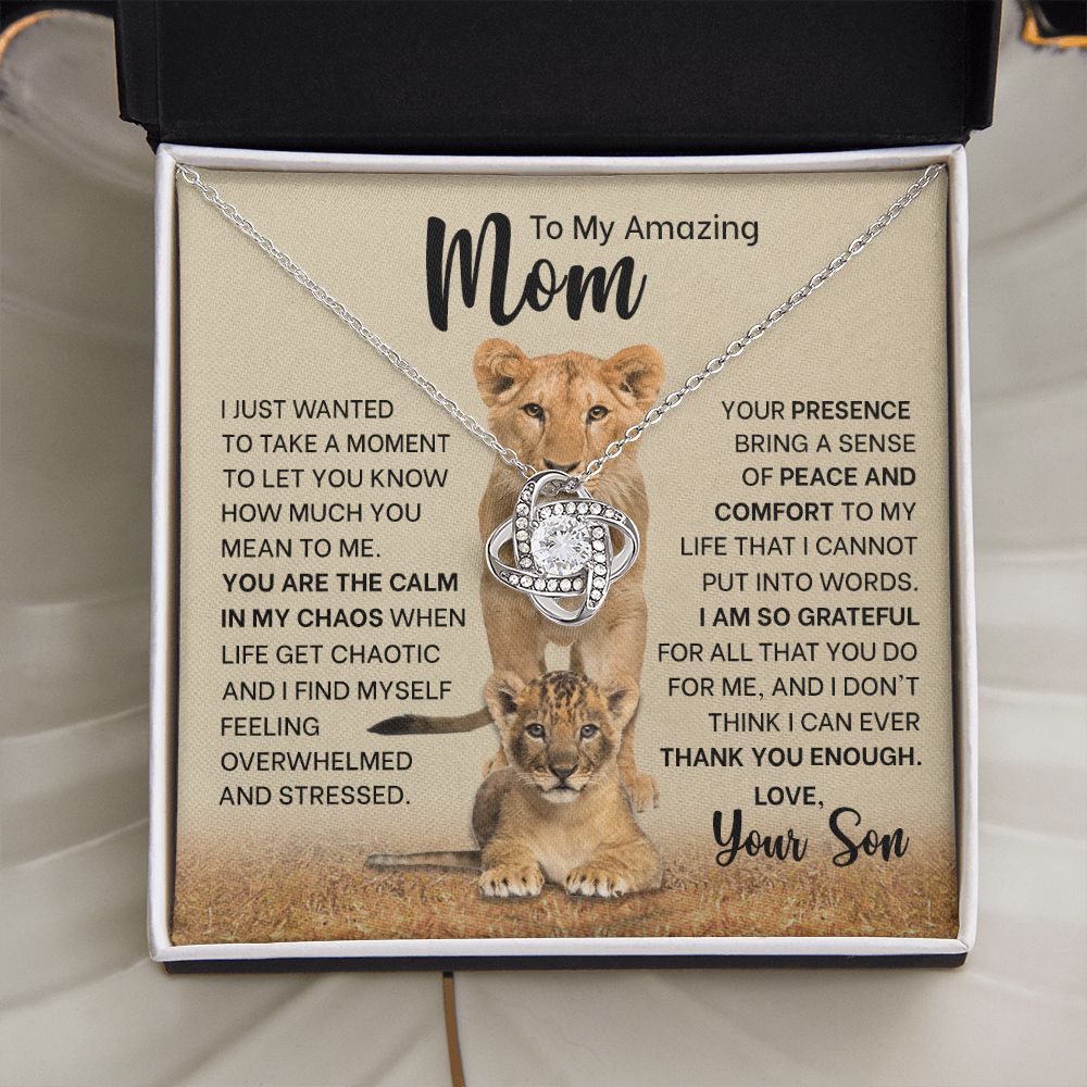 To My Mom_Calm in my Chaos